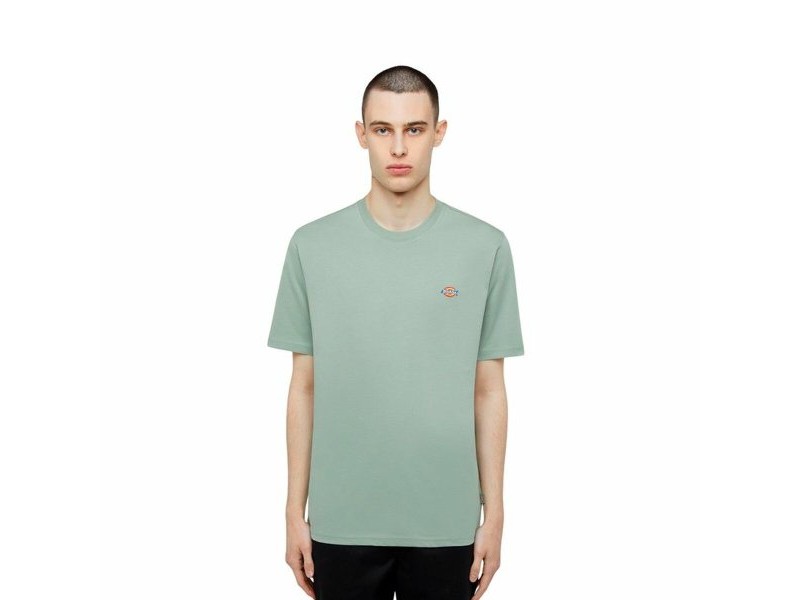 Мъжка тениска с къс ръкав Dickies Ss Mapleton Tee Зелен