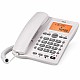 Стационарен телефон SPC Internet 3612B Бял NaN –  BB Аналогови телефони