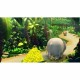 Видео игра за Switch Nintendo Donkey Kong Country Returns HD NaN –  BB Комплекти