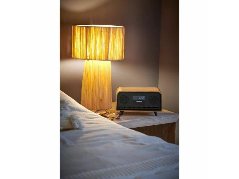 Радио Thomson Vintage Cosy Кафяв noir Vintage NaN –  BB Радиостанции