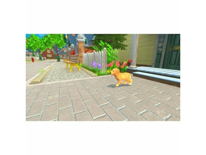 Видео игра за Switch Microids My Universe : My Baby Collection Видео игра за Switch Microids My Universe : My Baby Collection NaN – BB Комплекти