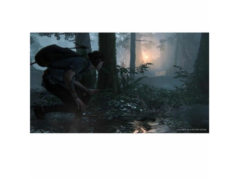 Видеоигра PlayStation 4 Naughty Dog The Last of Us: Part 2 NaN –  BB Екшън приключение