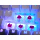 Клавиатура с мишка Cherry CXK5V2RGBCPTBLACKRFR NaN –  BB Клавиатури