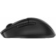 Безжична блутут мишка HP 8T6M3AA Черен 4000 dpi NaN –  BB Мишки