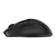 Безжична блутут мишка HP 8T6M3AA Черен 4000 dpi NaN –  BB Мишки