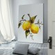 Монитор Samsung LS49FG916EUXEN 49 NaN –  BB Монитори