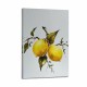 Монитор Samsung LS49FG916EUXEN 49 NaN –  BB Монитори