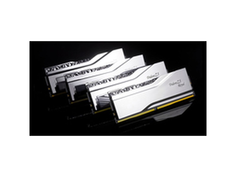 RAM памет GSKILL F5-6800J3446F48GX2-TR5S NaN –  BB Основна памет