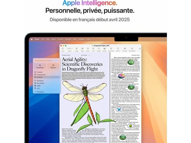 Лаптоп Apple MacBook Air M4 SSD 13,6 M4 16 GB RAM NaN –  BB Лаптопи