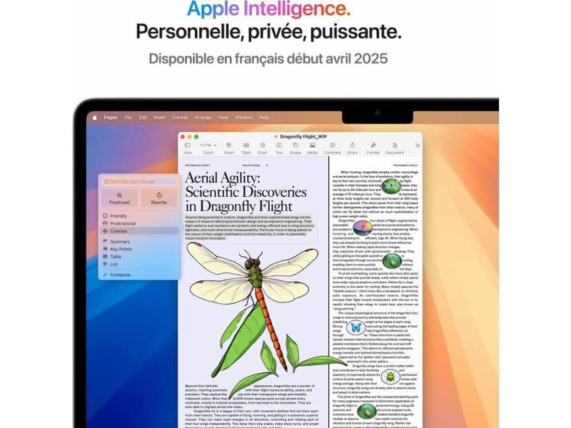 Лаптоп Apple MacBook Air M4 SSD 13,6 M4 16 GB RAM NaN –  BB Лаптопи