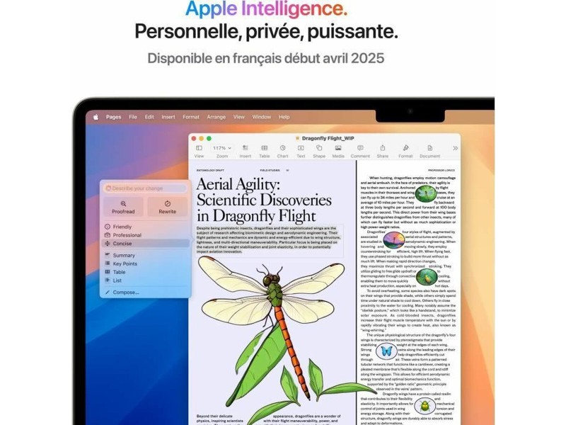 Лаптоп Apple MacBook Air M4 SSD 15,3 M4 24 GB RAM NaN –  BB Лаптопи