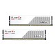 RAM памет GSKILL F5-6000J3036F48GX2-FX5W 96 GB DDR5 6000 MHz NaN –  BB Основна памет