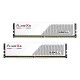 RAM памет GSKILL Flare X5 F5-6000J3636F32GX2-FX5W 64 GB DDR5 6000 MHz CL36 NaN –  BB Основна памет