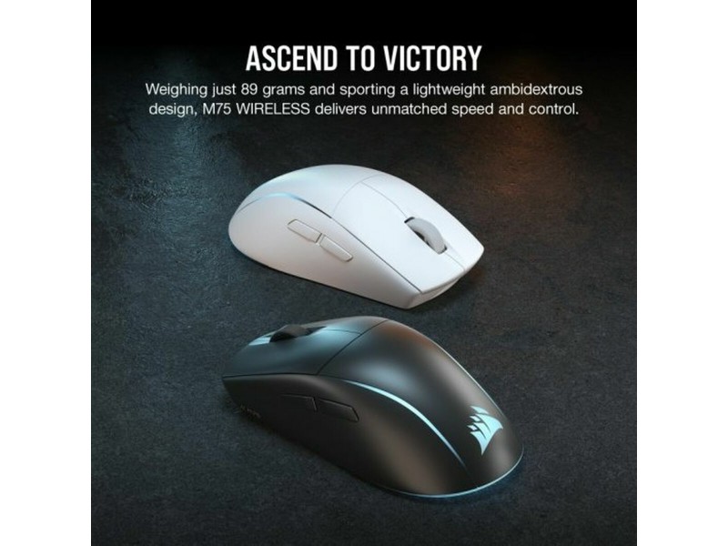 Мишка Corsair M75 NaN –  BB Трекбол