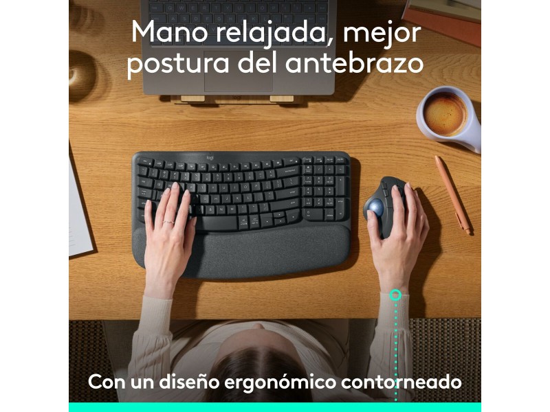 Мишка Logitech 910-007029 NaN –  BB Мишки