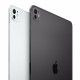 Таблет Apple iPad Pro 2024 11 M4 8 GB RAM 256 GB Сребрист NaN –  BB Таблети