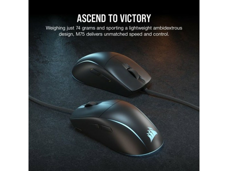 Мишка Corsair M75 NaN –  BB Трекбол