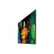 Монитор Videowall Samsung QH43C 4K Ultra HD 43 NaN –  BB Монитори