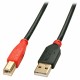 Кабел USB A към USB B LINDY 42762 15 m NaN от | techMAG.bg Кабел USB A към USB B LINDY 42762 15 m NaN – BB USB кабели