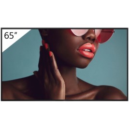 Монитор Sony PRO BRAVIA 65" 4K Ultra HD 60 Hz