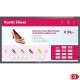 Монитор Videowall Philips 43BDL3651T/00 4K Ultra HD 43 50-60 Hz NaN –  BB Монитори