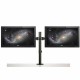 Поставка за монитор Startech ARMDUAL2 NaN –  BB Стойки и подпори