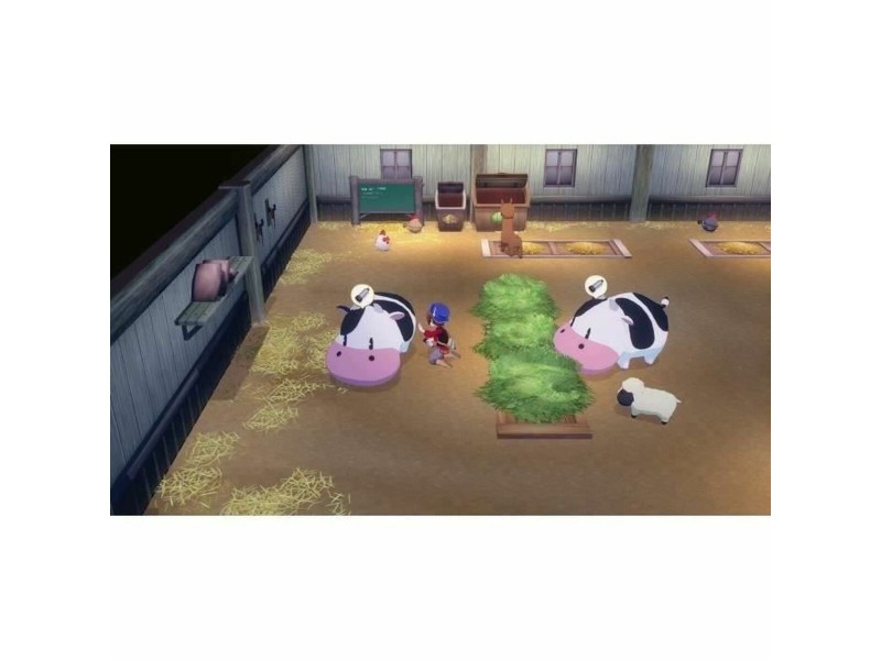 Видео игра за Switch Just For Games Story of Seasons Grand Bazaar : Limited Edition NaN –  BB Комплекти