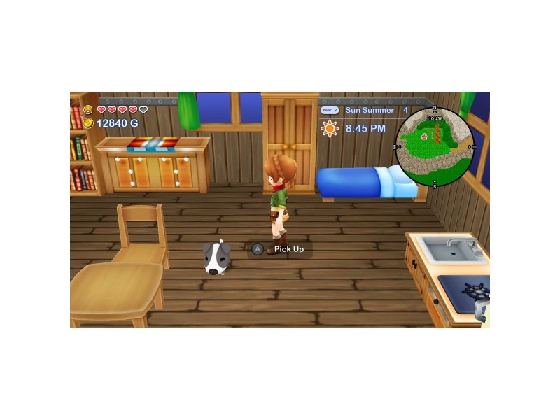 Видео игра за Switch Just For Games Harvest Moon The Lost Valley & Skytree Village NaN –  BB Комплекти