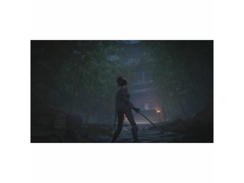 Видеоигра Xbox Series X Just For Games Wuchang: Fallen Feathers NaN –  BB Приключение