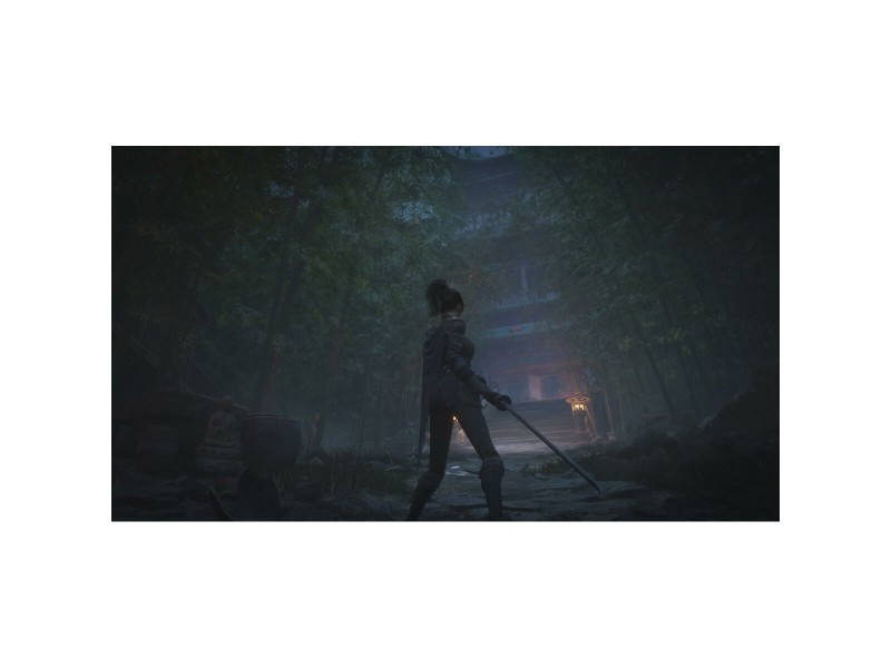 Видеоигра Xbox Series X Just For Games Wuchang: Fallen Feathers NaN –  BB Приключение