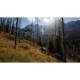 Видеоигра Xbox Series X THQ Nordic Wild Expeditions (FR) NaN –  BB Лов и риболов