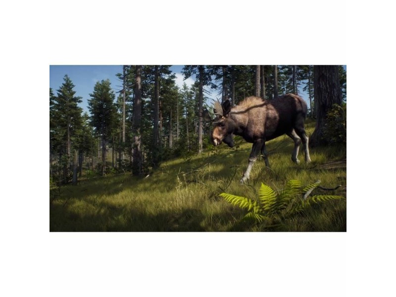 Видеоигра PlayStation 5 THQ Nordic Way of the Hunter Wild Expeditions (FR) NaN –  BB Приключение