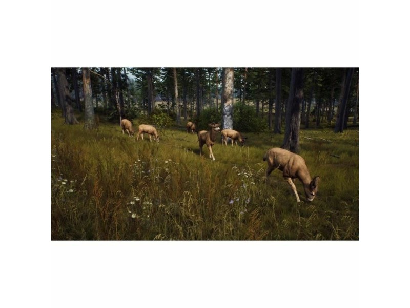 Видеоигра PlayStation 5 THQ Nordic Way of the Hunter Wild Expeditions (FR) NaN –  BB Приключение