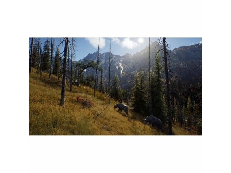Видеоигра PlayStation 5 THQ Nordic Way of the Hunter Wild Expeditions (FR) NaN –  BB Приключение