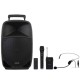 Преносими блутут колони FONESTAR MALIBU-312 Черен 250 W NaN –  BB Преносими Bluetooth високоговорители