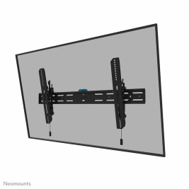 Поставка за телевизор Neomounts 12597273000 43-98" 43" 86" 100 kg