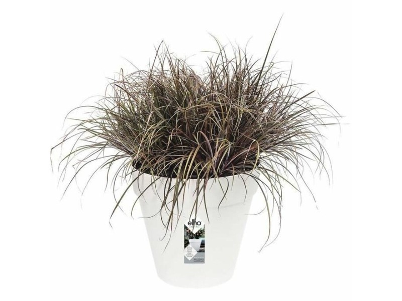 Комплект Саксии за цветя Elho Сив Пластмаса Кръгъл 2 Части NaN –  BB Саксии