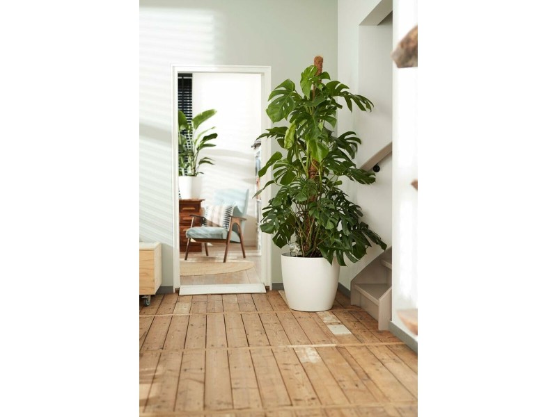 Комплект Саксии за цветя Elho Бял Пластмаса Кръгъл 2 Части NaN –  BB Саксии