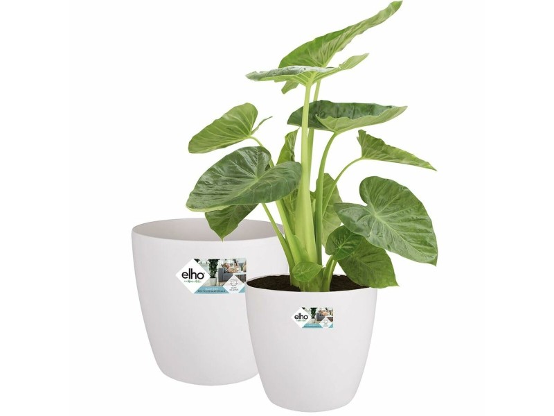 Комплект Саксии за цветя Elho Бял Пластмаса Кръгъл 2 Части NaN –  BB Саксии