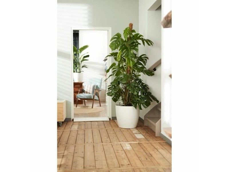 Комплект Саксии за цветя Elho Бял Пластмаса Кръгъл 2 Части NaN –  BB Саксии