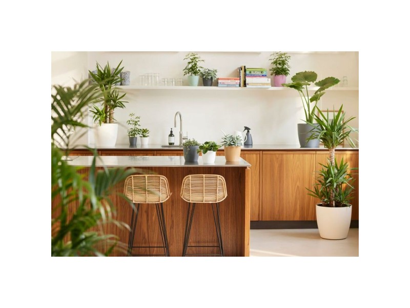 Комплект Саксии за цветя Elho Сив Пластмаса Кръгъл 2 Части NaN –  BB Саксии