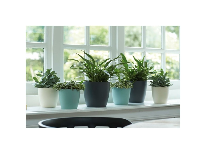 Комплект Саксии за цветя Elho Сив Пластмаса Кръгъл 2 Части NaN –  BB Саксии