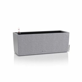 Самополиваща Сеялка Lechuza Сив 50 x 19 x 19 cm полипропилен Квадратен