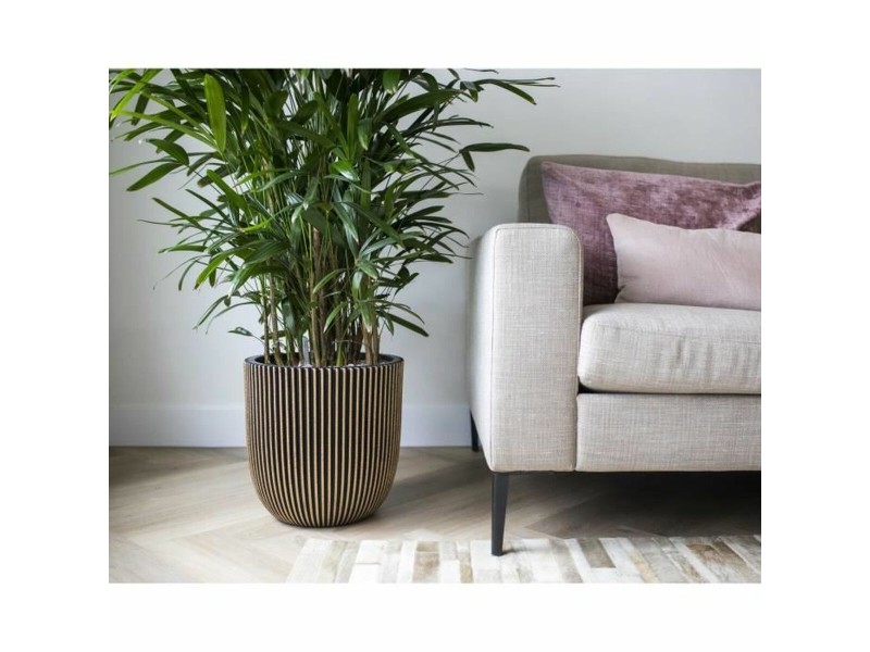 Саксия Capi Europe GROVVE Черен Златен Пластмаса Ø 43 cm NaN –  BB Саксии