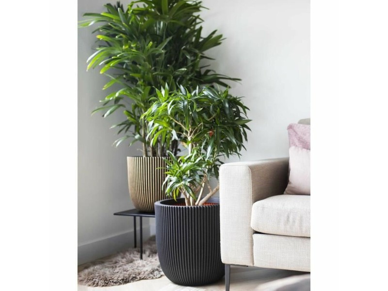 Саксия Capi Europe GROVVE Черен Златен Пластмаса Ø 43 cm NaN –  BB Саксии