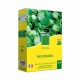 Семена BHS Dichondra NaN –  BB Трева
