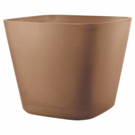 Саксия Deroma