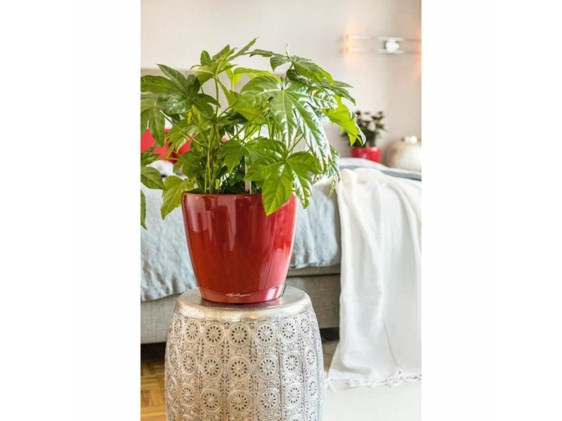 Саксия Lechuza Червен полипропилен Кръгъл NaN –  BB Саксии