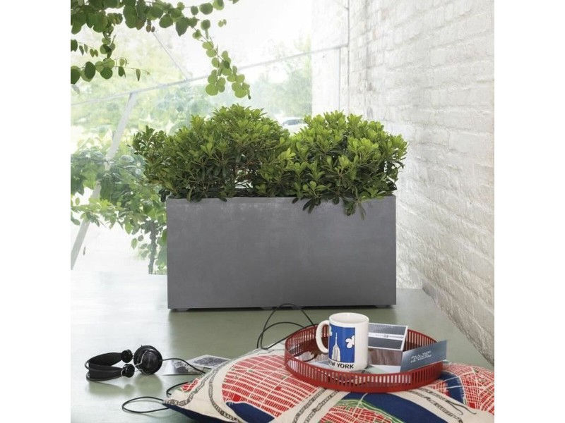 Саксия Deroma NaN –  BB Саксии