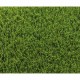 Изкуствена трева Exelgreen 1 x 5 m Зелен 40 mm NaN –  BB Трева